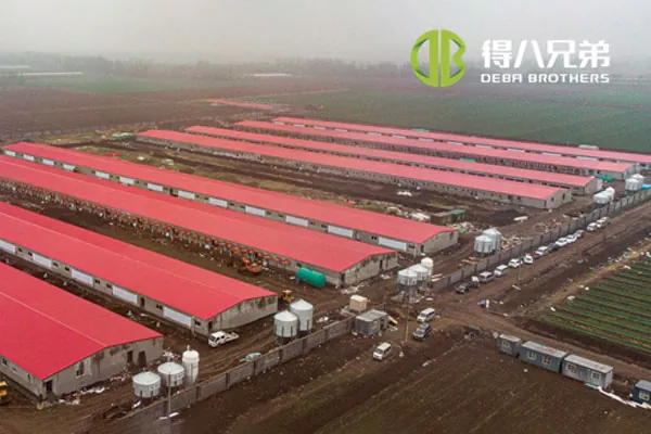 ãПовний проектãShandong Zhucheng4800 ферма свиноматок