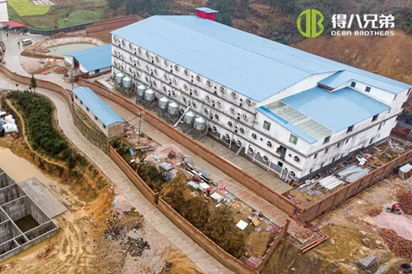 ãБагатоповерховий проектãБагатоповерхова ферма Hunan Shaoyang 3600 свиноматок