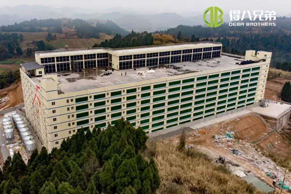 ãБагатоповерховий проектãSichuan Qiquan group 10000 свиноматок