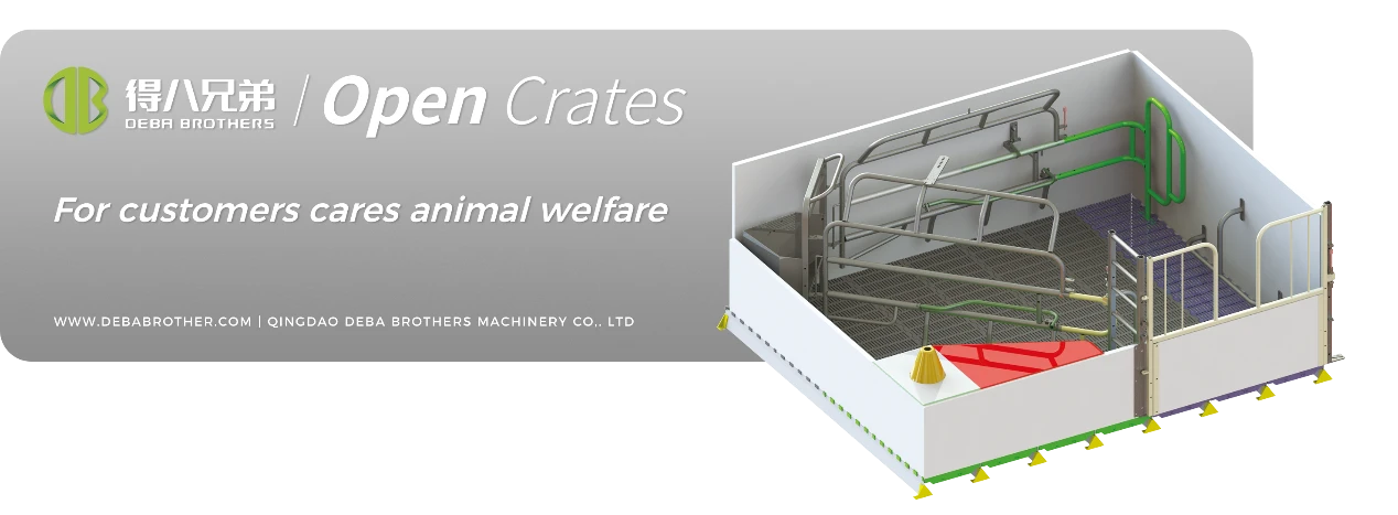 Відкрите ліжко для свиноматок DEBA Brothers визнано у всьому світі завдяки зручному дизайну